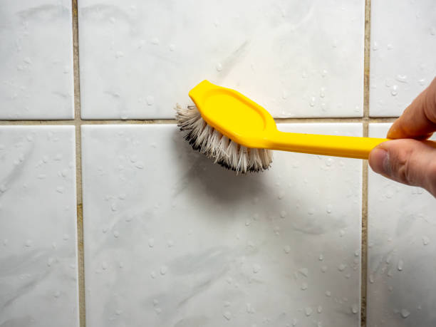 Best Same-Day Mold Removal  in Pittsboro, IN
