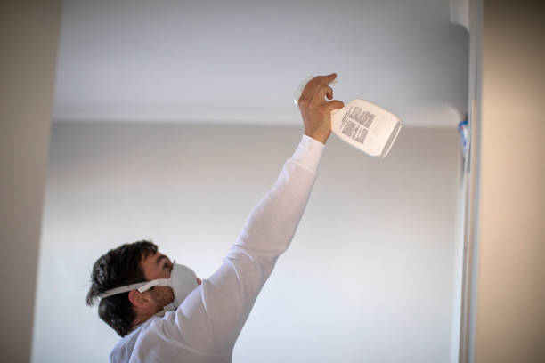 Best Black Mold Removal  in Pittsboro, IN